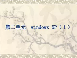 windows xp