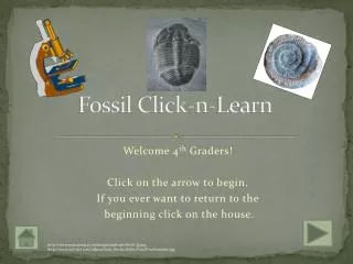 Fossil Click-n-Learn