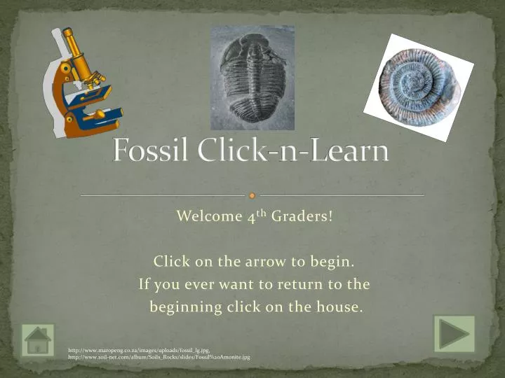 fossil click n learn