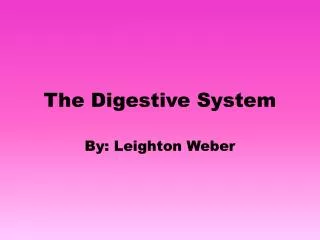 the digestive system