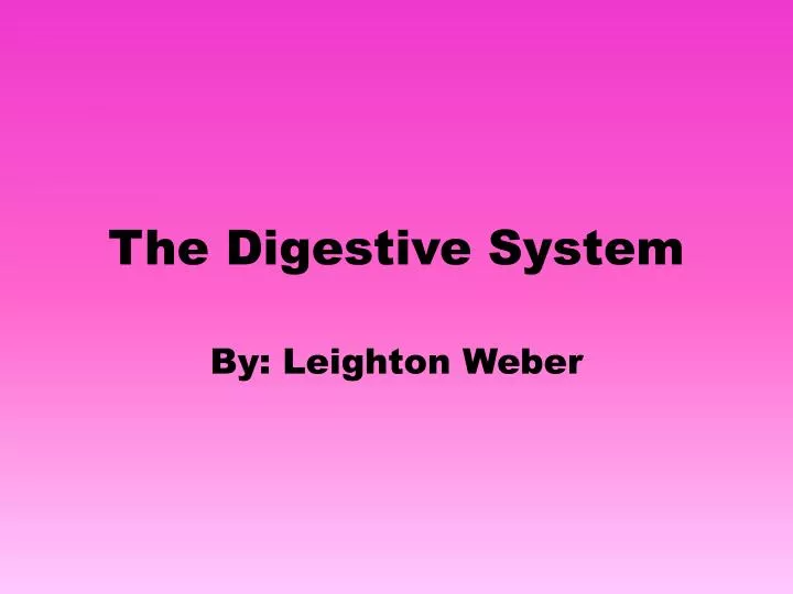 the digestive system