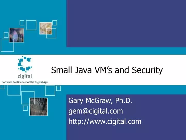 small java vm s and security