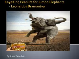 KayaKing Peanuts for Jumbo Elephants - Leonardus Bramantya