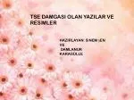 TSE DAMGASI OLAN YAZILAR VE RESİMLER - slide 1