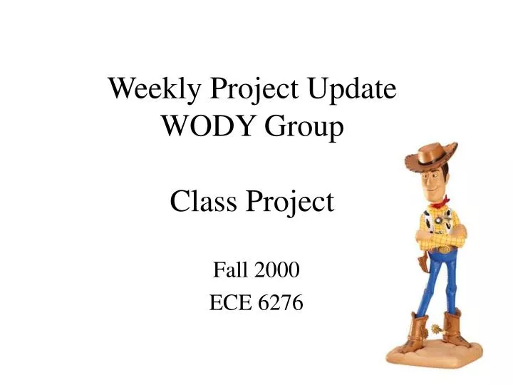 weekly project update wody group class project