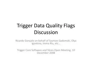 Trigger Data Quality Flags Discussion