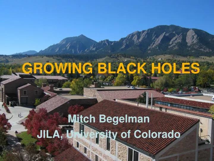growing black holes