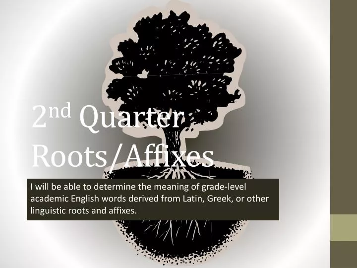 2 nd quarter roots affixes