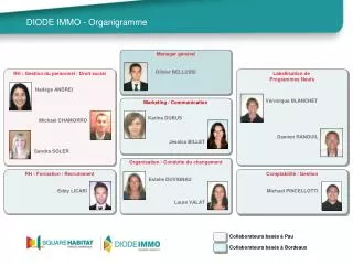 diode immo organigramme