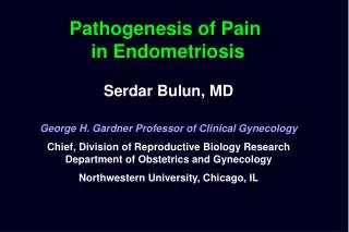 Serdar Bulun, MD George H. Gardner Professor of Clinical Gynecology