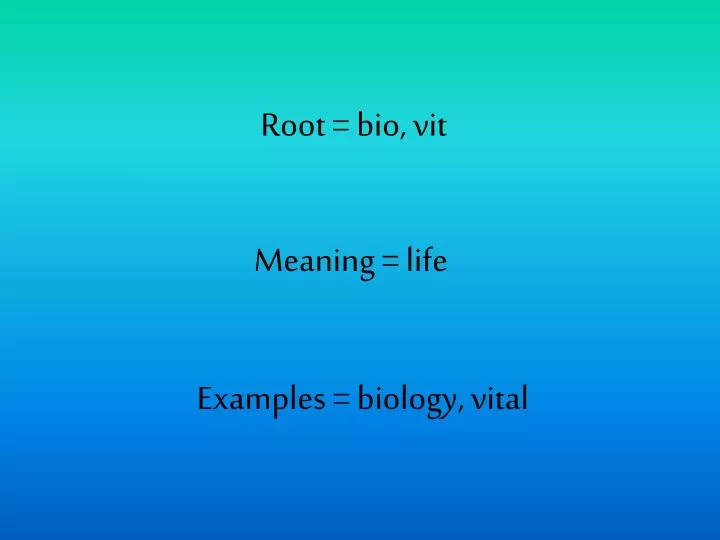 root bio vit