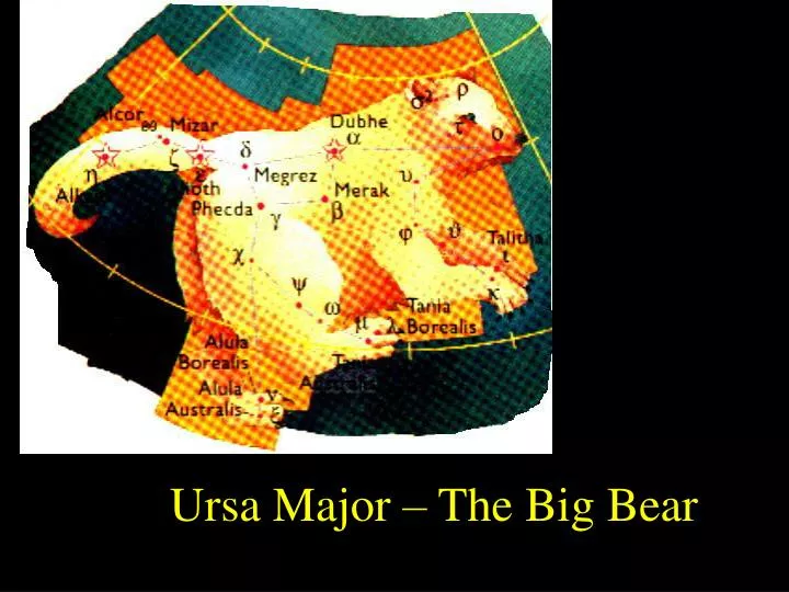 ursa major the big bear