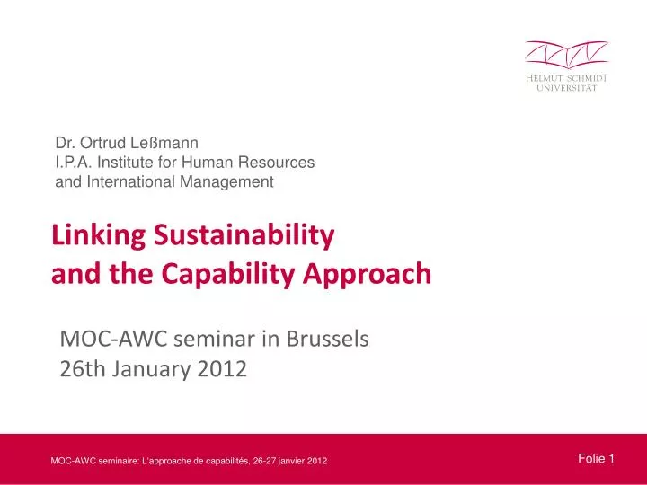 linking sustainability and the capability approach