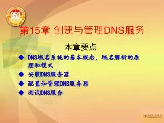 15 dns