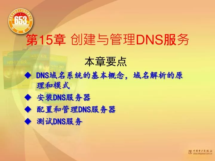 15 dns