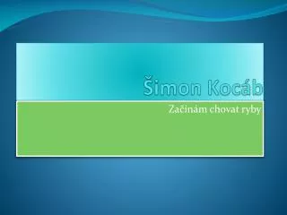 imon koc b