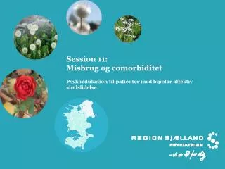 session 11 misbrug og comorbiditet psykoedukation til patienter med bipolar affektiv sindslidelse