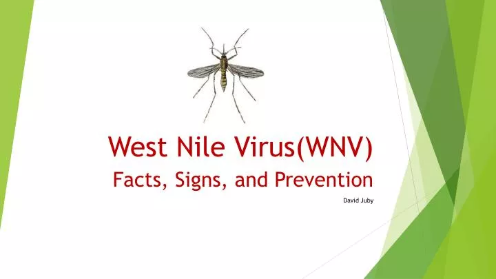 west nile virus wnv