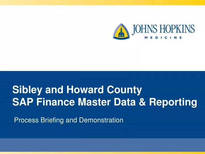 sibley and howard county sap finance master data reporting