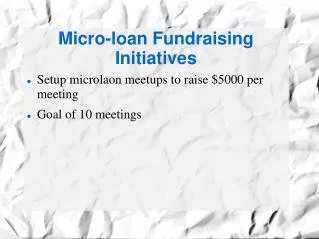 Micro-loan Fundraising Initiatives
