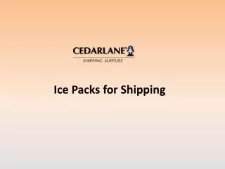 ice packs for shipping