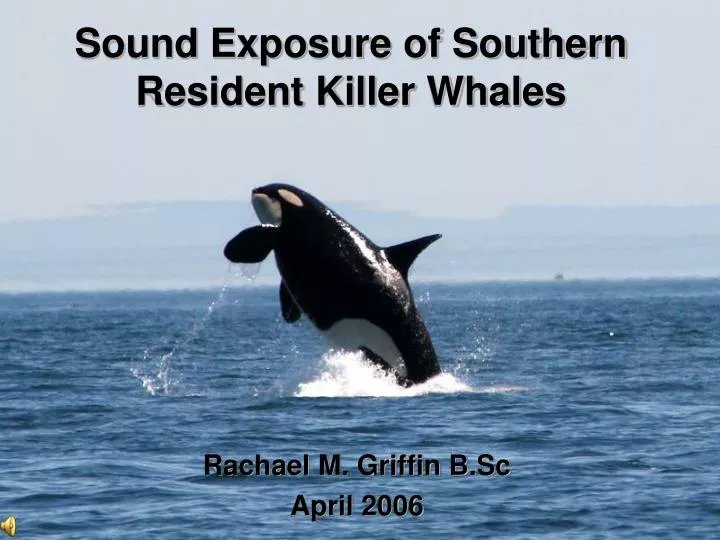 sound exposure of southern resident killer whales