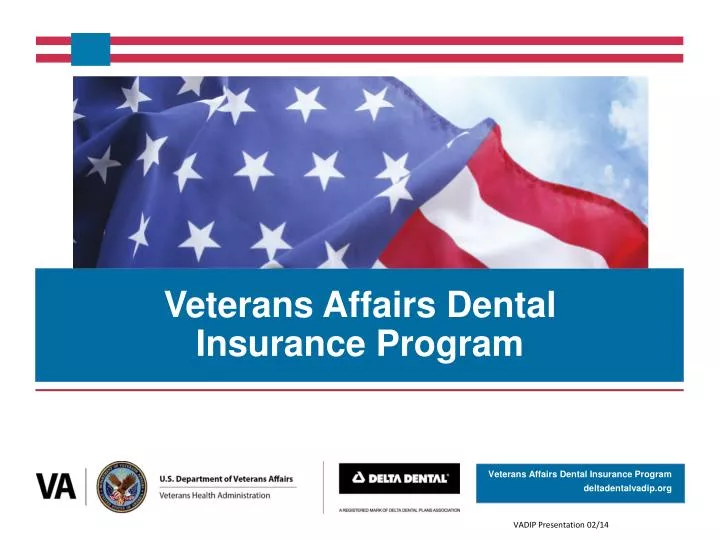veterans affairs dental insurance program