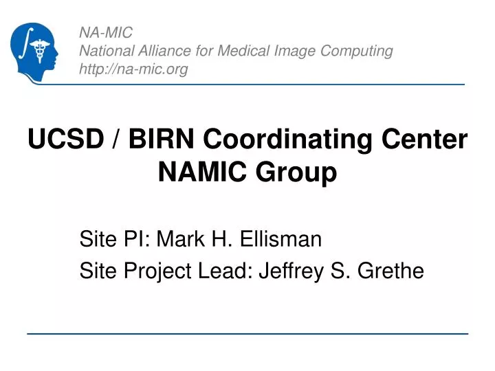 ucsd birn coordinating center namic group