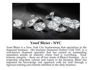 yosef bleier nyc