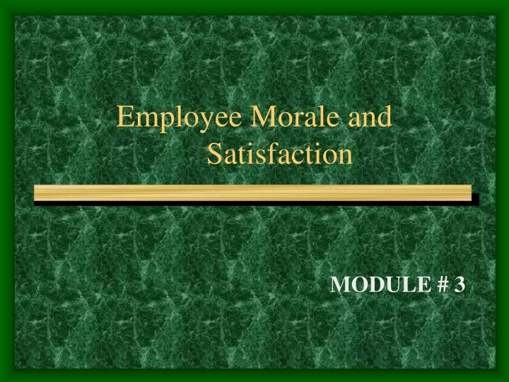 employee morale and satisfaction
