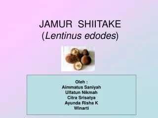 jamur shiitake lentinus edodes