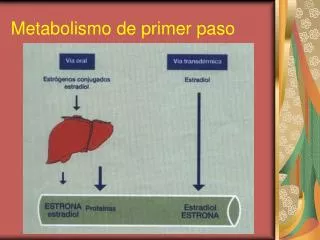 metabolismo de primer paso