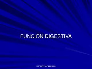 funci n digestiva
