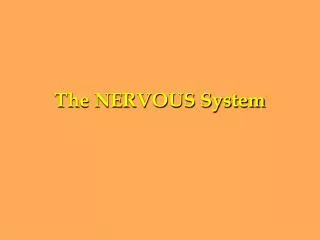 The NERVOUS System