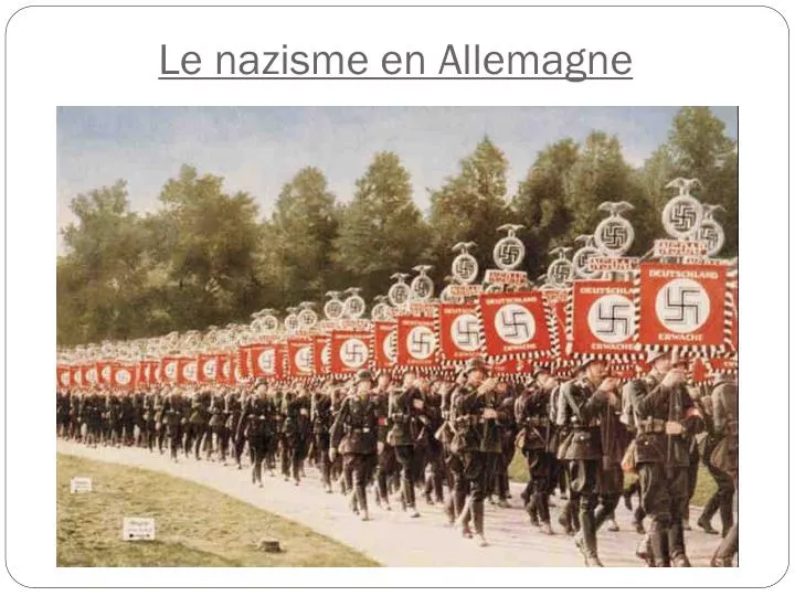 le nazisme en allemagne