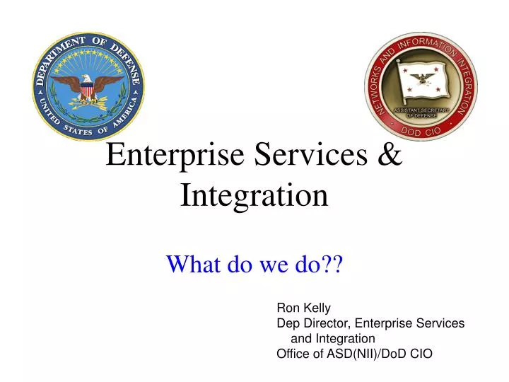 enterprise services integration what do we do