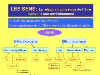 les sens la relation biophysique de l tre humain son environnement