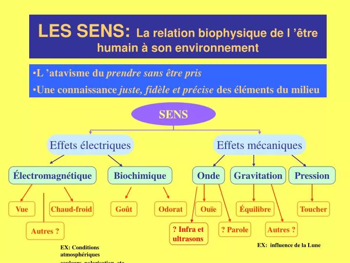 les sens la relation biophysique de l tre humain son environnement