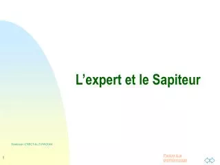 l expert et le sapiteur
