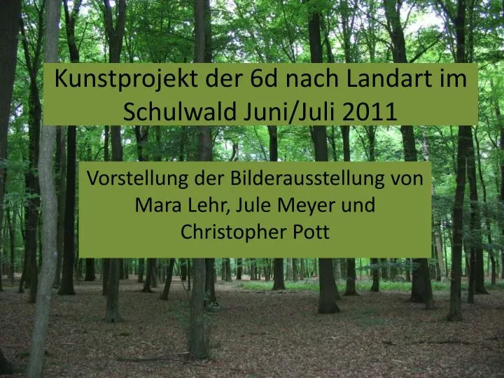 kunstprojekt der 6d nach landart im s chulwald juni juli 2011