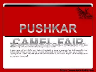 Pushkar Camel Fair - 2014