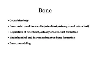 Bone