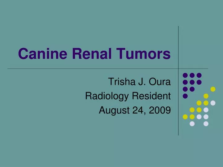 canine renal tumors