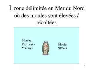 1 zone d limit e en mer du nord o des moules sont lev es r colt es