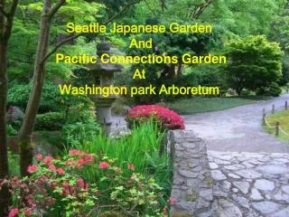 Seattle Japanese Garden And Pacific Connections Garden At Washington park Arboretum
