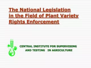Plant Variety Rights Legislation in the Czech Republic