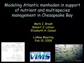 Modeling Atlantic menhaden in support of nutrient and multispecies management in Chesapeake Bay