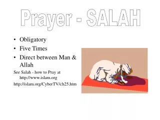 Obligatory Five Times Direct between Man &amp; Allah See Salah - how to Pray at islam