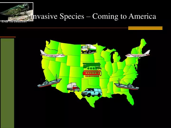 invasive species coming to america