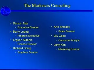 The Marketers Consulting
